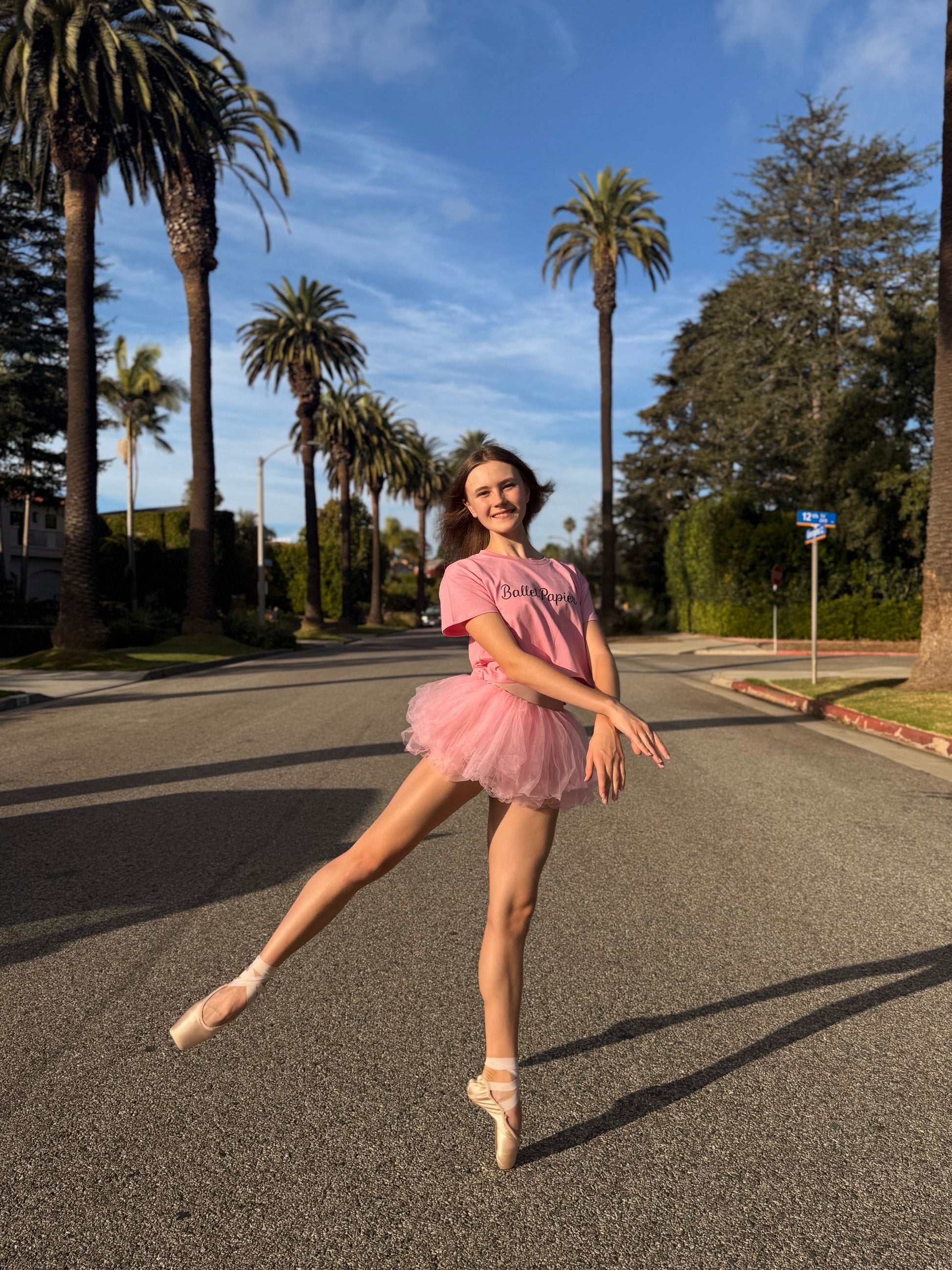 Ballet Papier Pink Crop Top